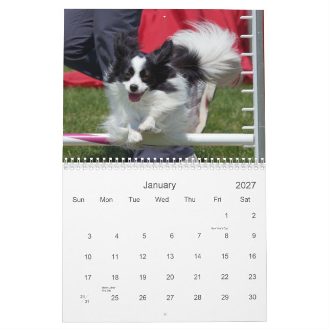 Calendário de parede da agilidade de Papillons (Jan 2027)