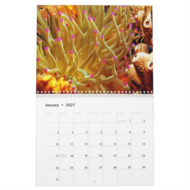 Calendário de parede da anêmona de mar (Jan 2027)