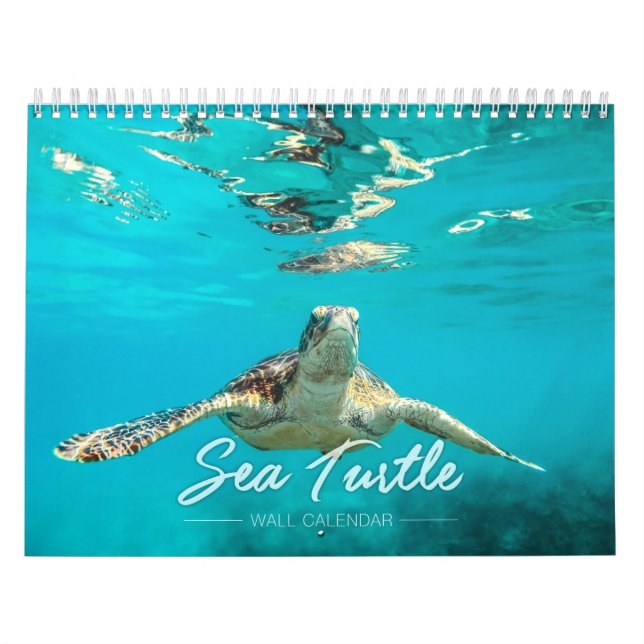 Calendário de parede da tartaruga de mar 2019 (Capa)