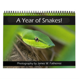 Calendário de Parede das Cobras por J. Fatherree