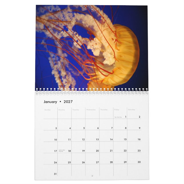 Calendário de parede das medusa (Jan 2027)