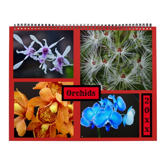 Calendário de parede das orquídeas (Capa)