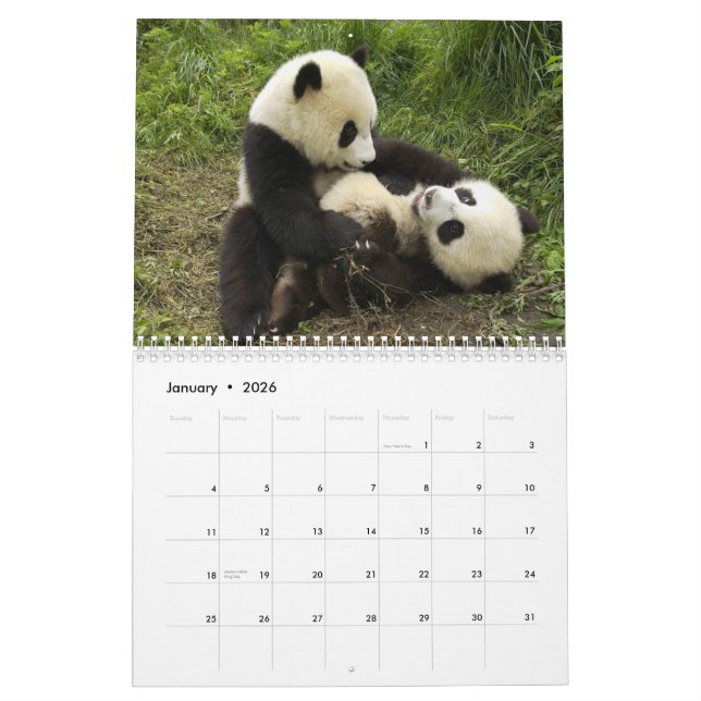 Calendário de parede das pandas (Jan 2026)