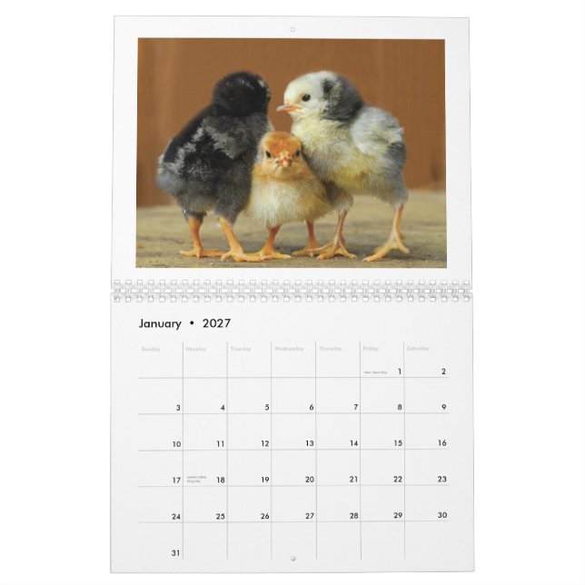 Calendário de parede de 2015 galinhas (Jan 2027)