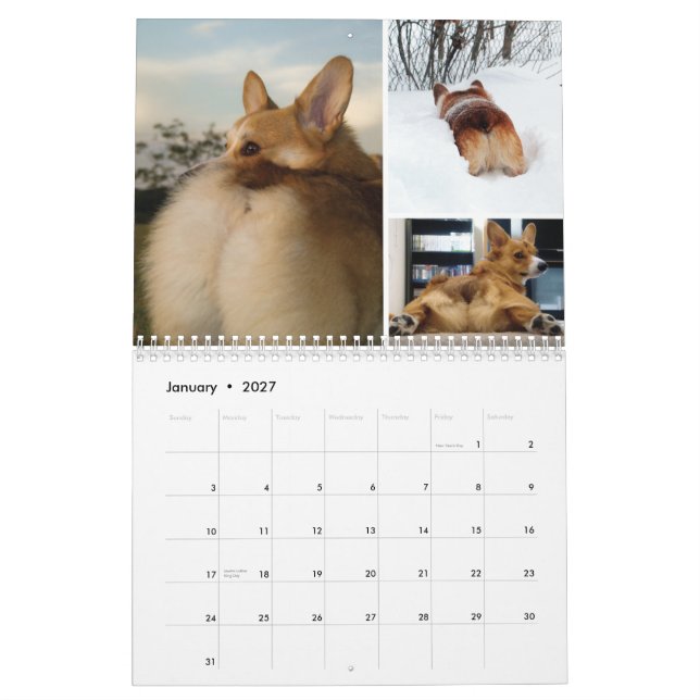 Calendário de Parede de Bumbuns e Amigos Corgi 201 (Jan 2027)