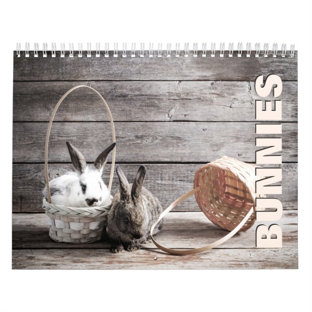 Calendário de Parede de Bunnies (Capa)