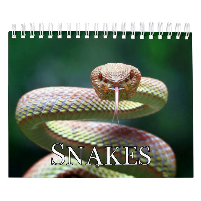 Calendário de Parede de Coleção de cobras (Capa)