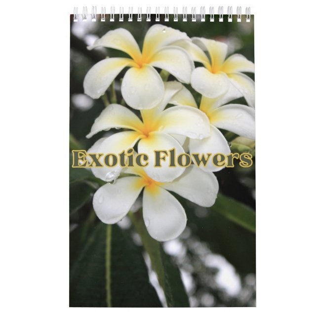 Calendário de Parede de Coleção de Flores Exóticas (Capa)