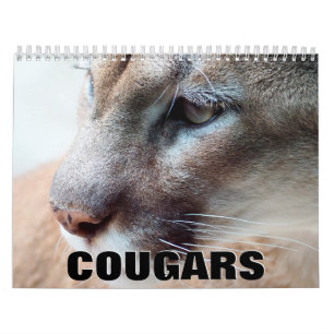 Calendário de Parede de Cougars