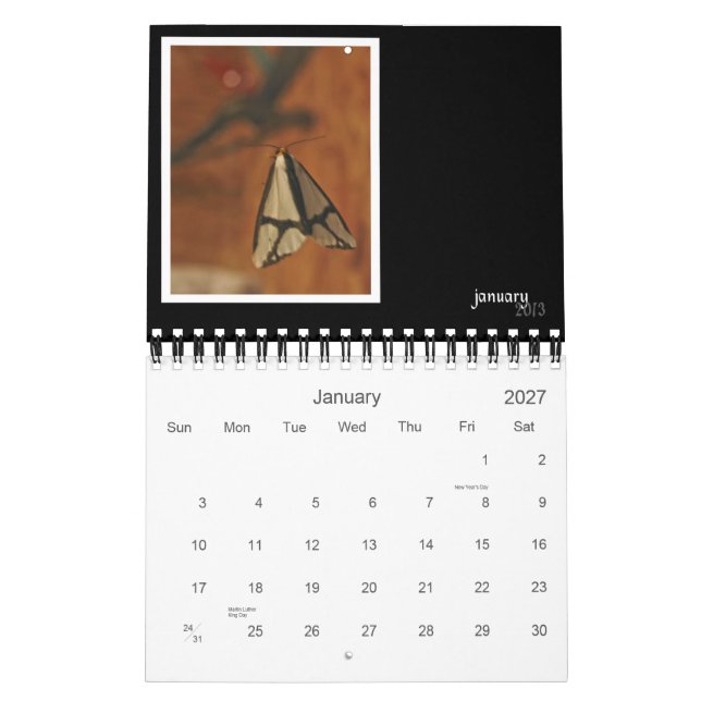 Calendário de Parede de Critérios e Insetos 2013 (Jan 2027)