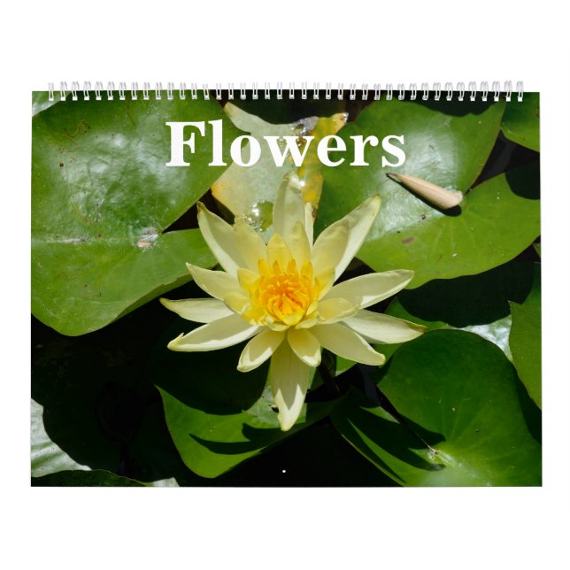 Calendário de Parede de Flores de 12 meses (Capa)