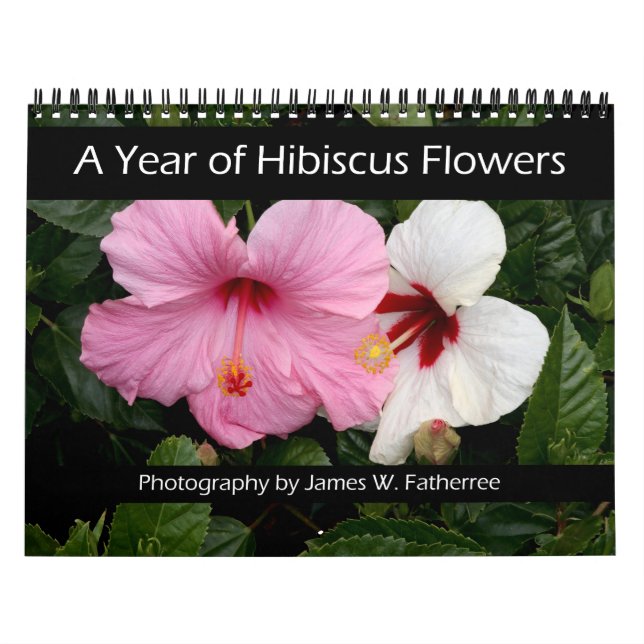 Calendário de Parede de Flores de Hibisco por J. F (Capa)