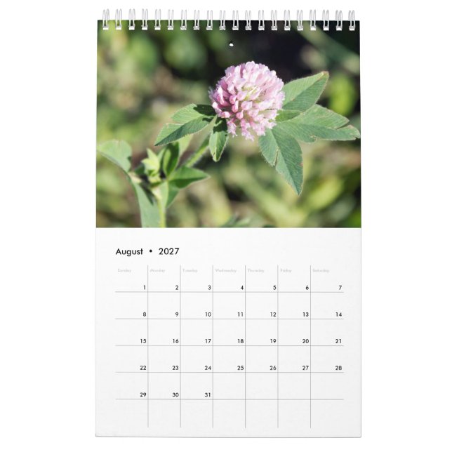 Calendário de Parede de Fotografia Personalizada (Ago 2027)