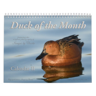 Calendário de Parede de Fotos Duck