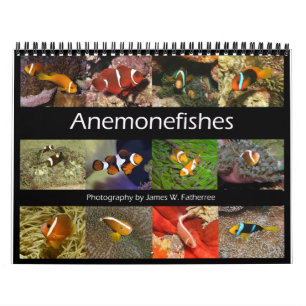 Calendário de Parede de Peixes-Anêmona por J.W. Fa
