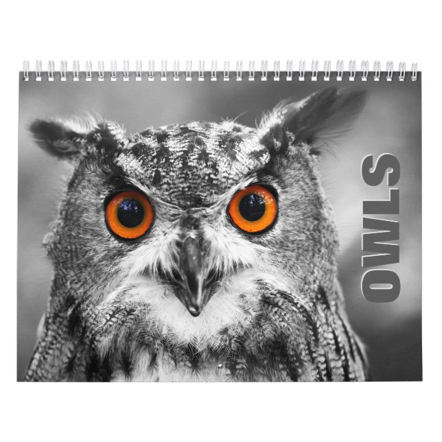 Calendário de Parede de Retratos de Coruja (Capa)