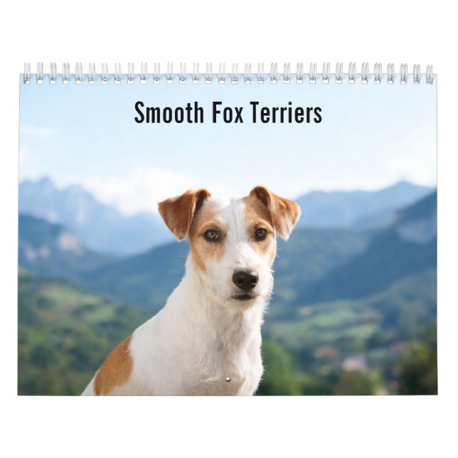 Calendário de Parede de Smooth Fox Terriers 2027 (Capa)