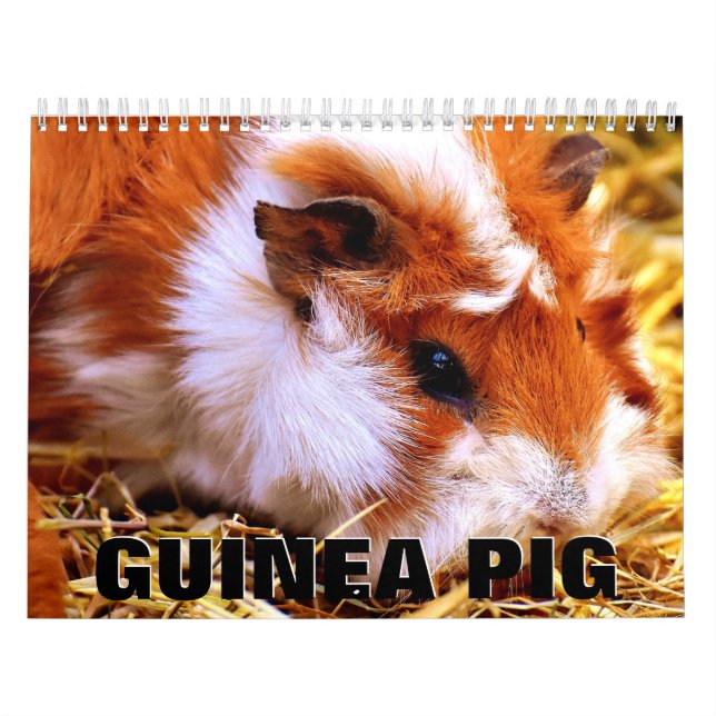 Calendário de Parede de Suínos (Capa)