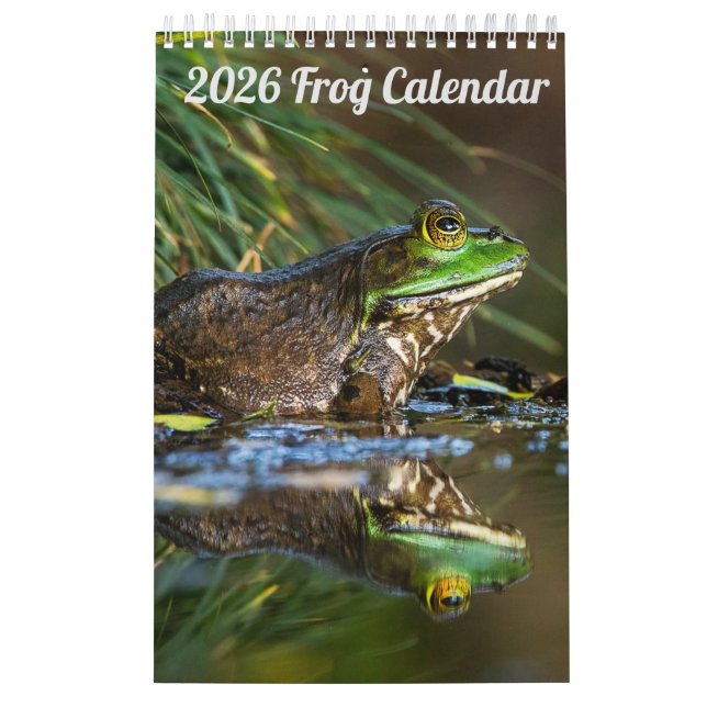 Calendário de Parede de Uma Página do Sapo 2025 (Capa)