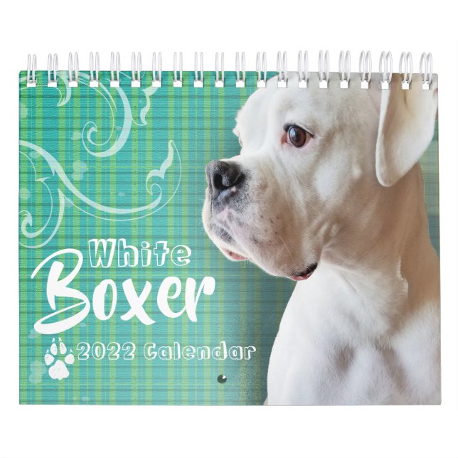 Calendário de Parede do Boxer Branco (Capa)
