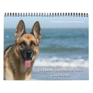 Calendário de parede do cão de german shepherd