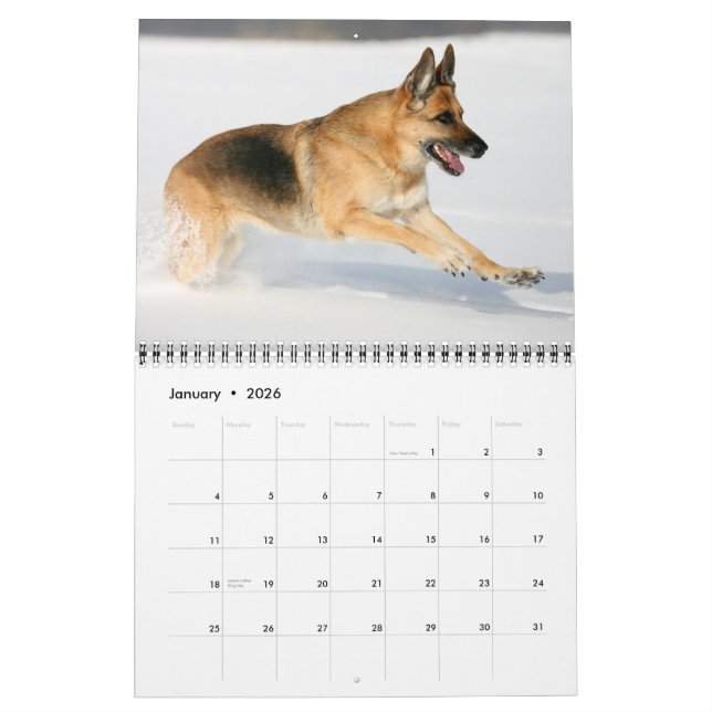 Calendário de parede do cão de german shepherd (Jan 2026)