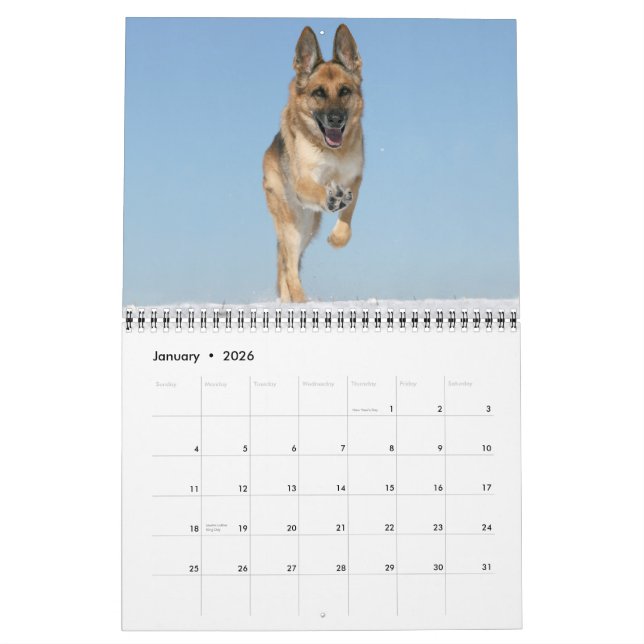Calendário de parede do cão de german shepherd (Jan 2026)