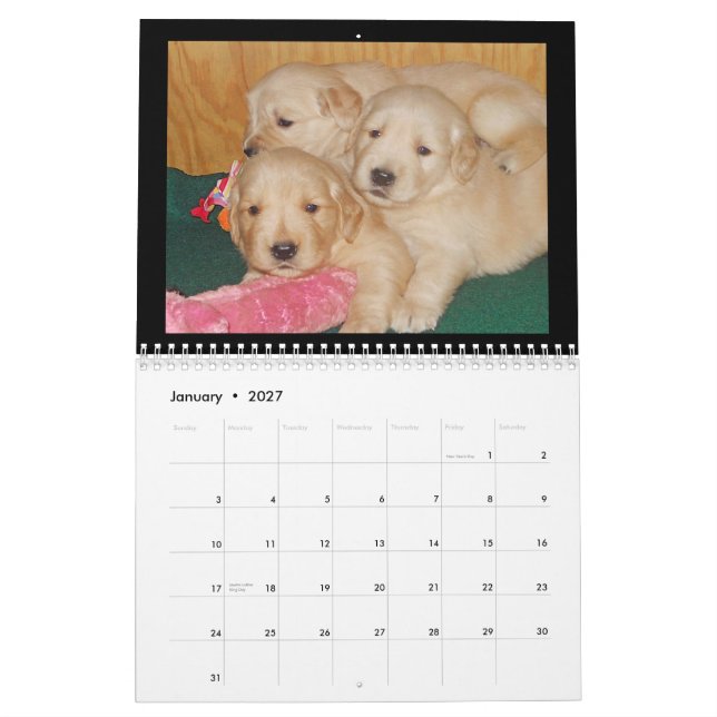Calendário de parede do filhote de cachorro do (Jan 2027)