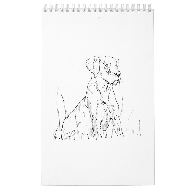 Calendário de Parede do Golden Retriever, Presente (Capa)