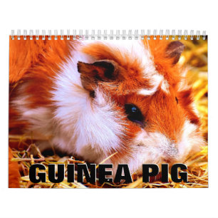 Calendário de Parede do Guiné Pig 2022