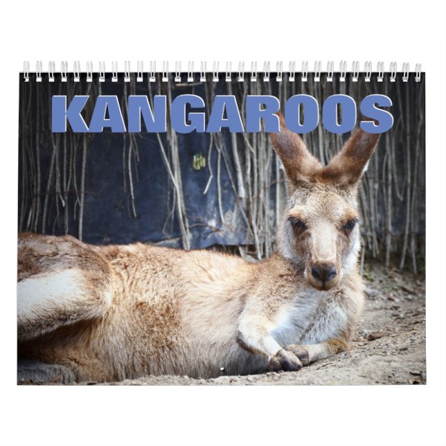 Calendário de Parede do Kangaroos (Capa)