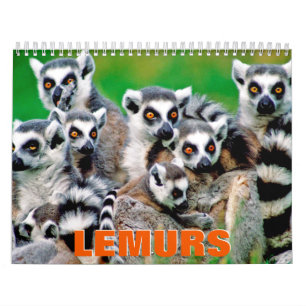 Calendário de Parede do Lemurs 2022