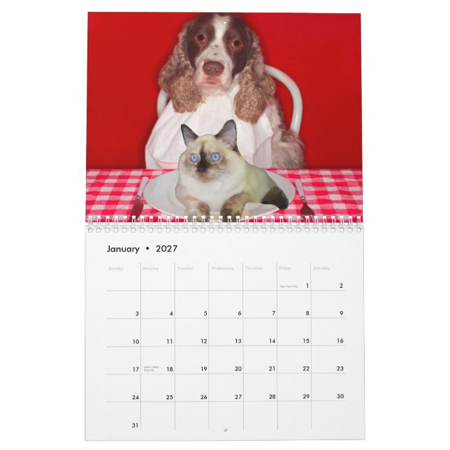 Calendário de parede do moedor do gato (Jan 2027)