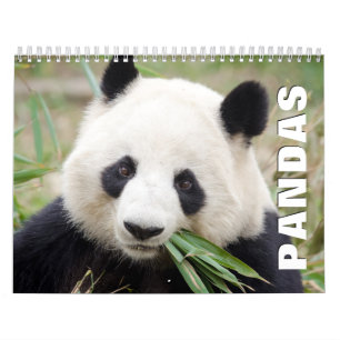 Calendário de Parede do Pandas 2022