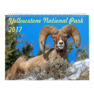 Calendário de parede do parque nacional 2017 de