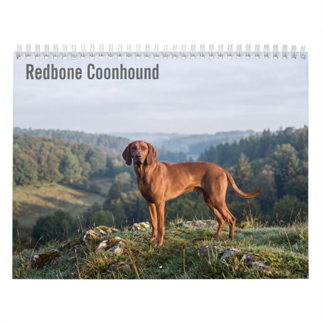 Calendário de parede do Redbone Coonhound 2027 (Capa)