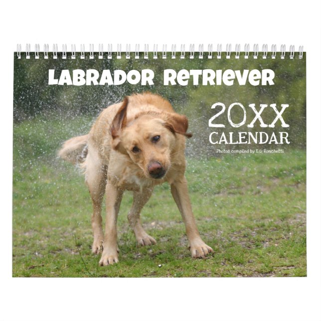 Calendário de Parede do Retriever do Labrador Amar (Capa)
