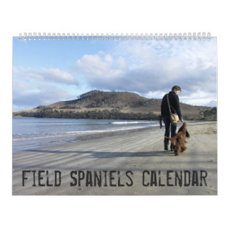 Calendário de parede do Spaniel de campo