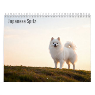 Calendário de parede do Spitz Japonês 2027