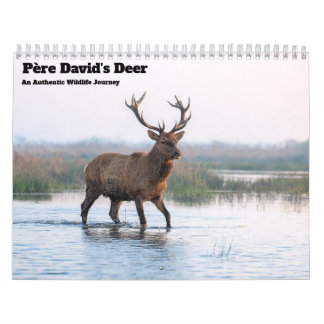 Calendário de Parede do Veado de Père David 2027