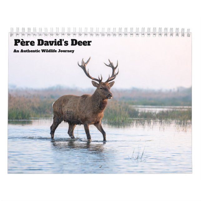 Calendário de Parede do Veado de Père David 2027 (Capa)