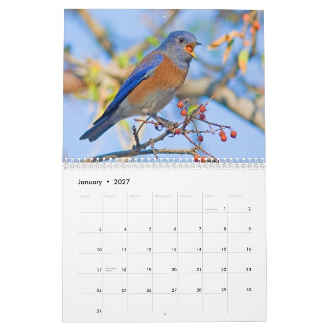 Calendário de parede dos Bluebirds (Jan 2027)