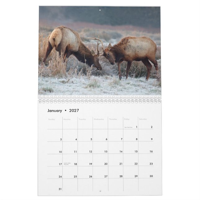 Calendário de parede dos cervos e dos alces 2015 - (Jan 2027)