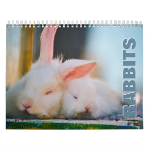 Calendário de Parede dos Coelhos 2022