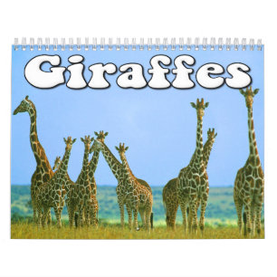 Calendário de parede dos girafas