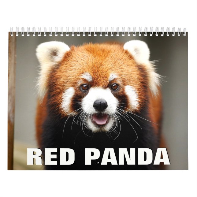 Calendário de Parede dos Pandas Vermelhos (Capa)
