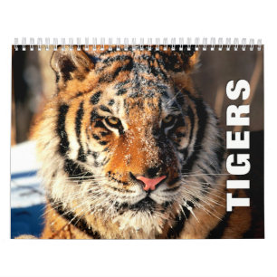 Calendário de Parede dos Tigres 2022
