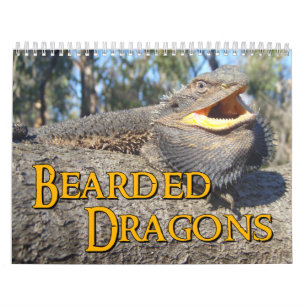 Calendário de parede farpado dos dragões
