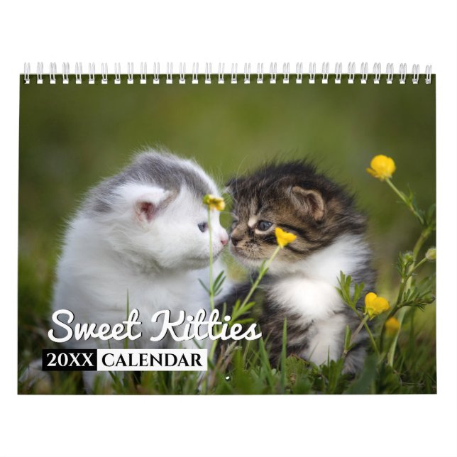 Calendário de Parede Fotográfica de Gatinhos Doces (Capa)