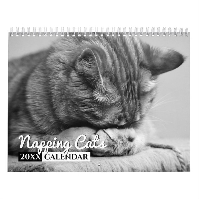 Calendário de Parede Fotográfica de Gatos de Nápol (Capa)